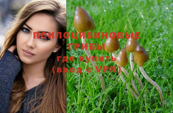 мяу мяу кристалл Белокуриха