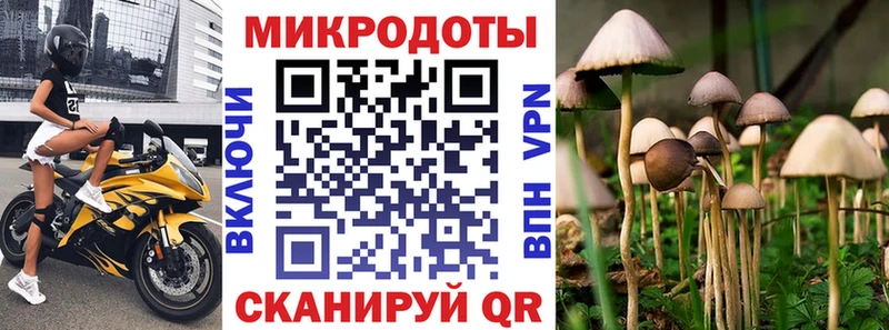 Галлюциногенные грибы Psilocybine cubensis  дарнет шоп  Кстово 