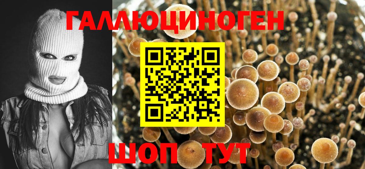 Кстово  Галлюциногенные грибы Magic Shrooms  Вход с VPN 